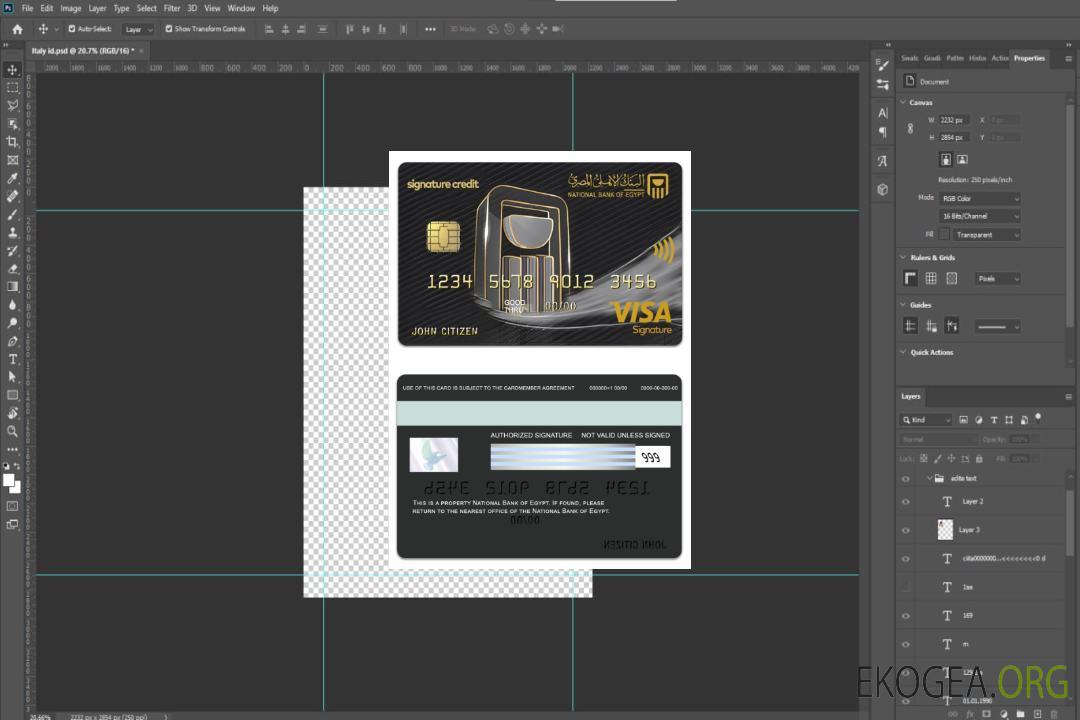Carte de signature de visa de la Banque nationale égyptienne d'Égypte template Carte de signature de visa de la Banque nationale égyptienne d'Égypte template